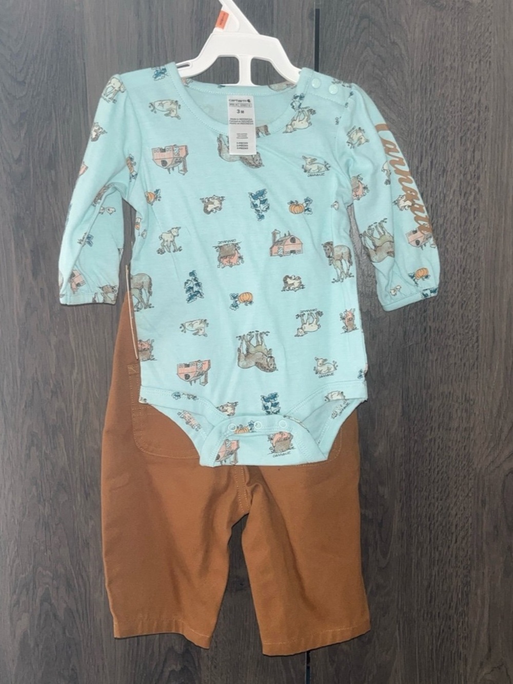 Carhartt Overalls